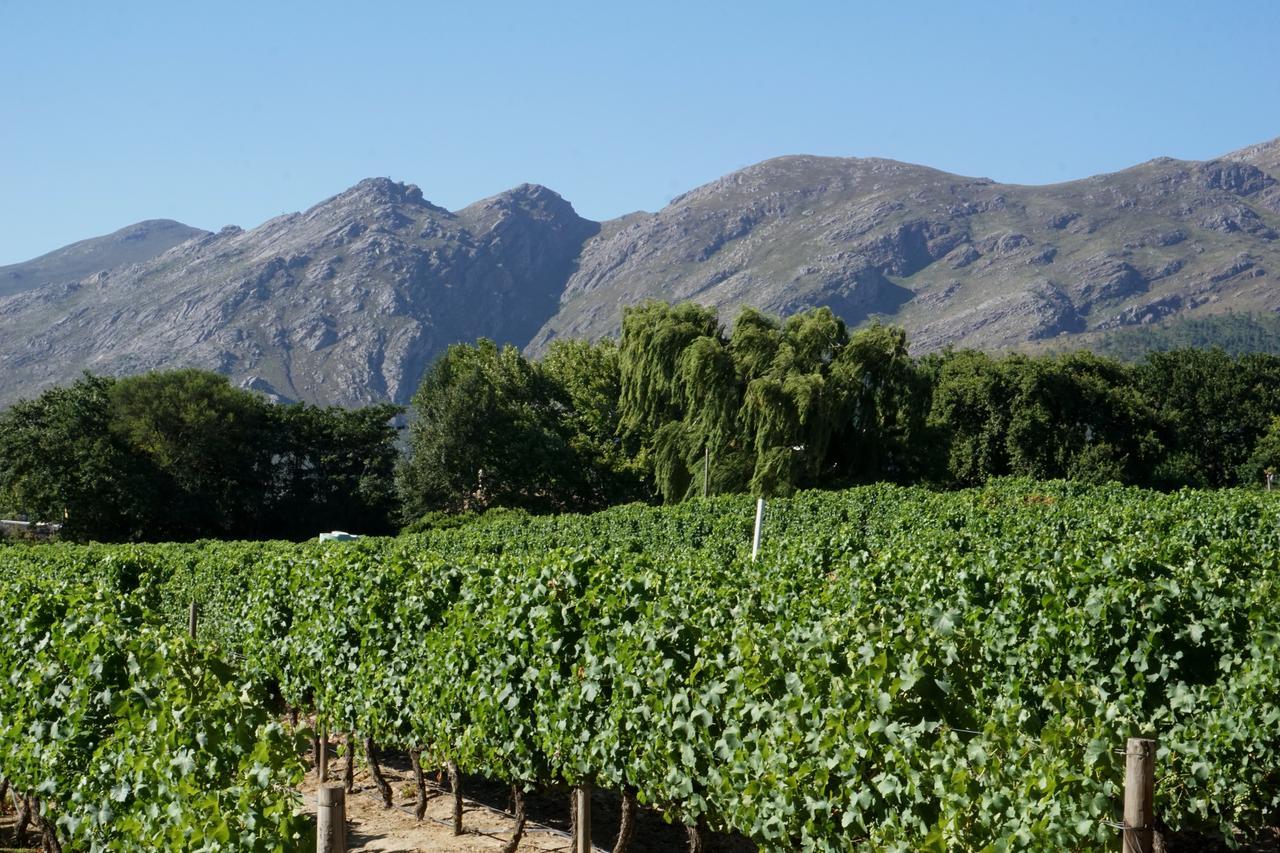 5 Pierre Jourdan Villa Franschhoek Buitenkant foto
